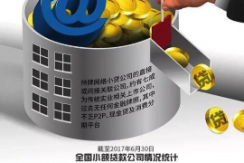 南涧要账公司更多成功案例详情